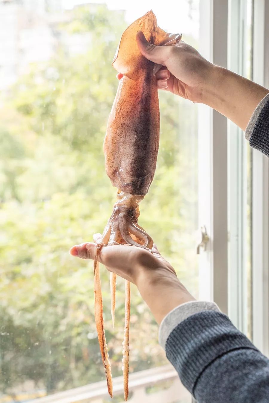 台湾评价吕四海鲜,吕四海鲜干货