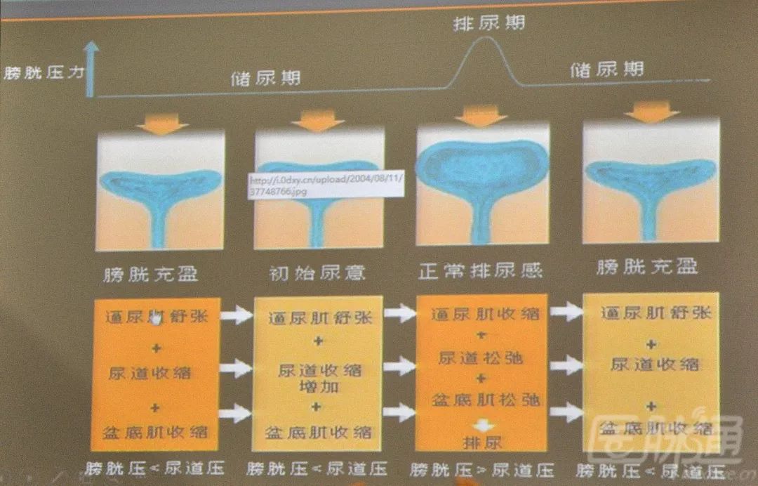 涓尰涓撳寮犲紱瑙嗛,寮犲紱涓尰璁插骇瑙嗛