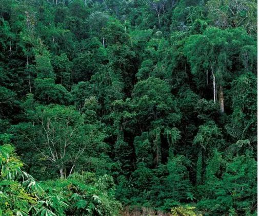 中国宝石最多的地方视频,中国四大宝石是哪四种