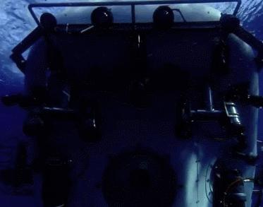 外星生物会长什么样子,外星生物真的存在吗