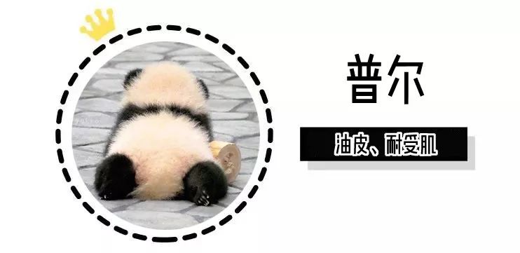 平民必买的5款好物,必买的十大好物