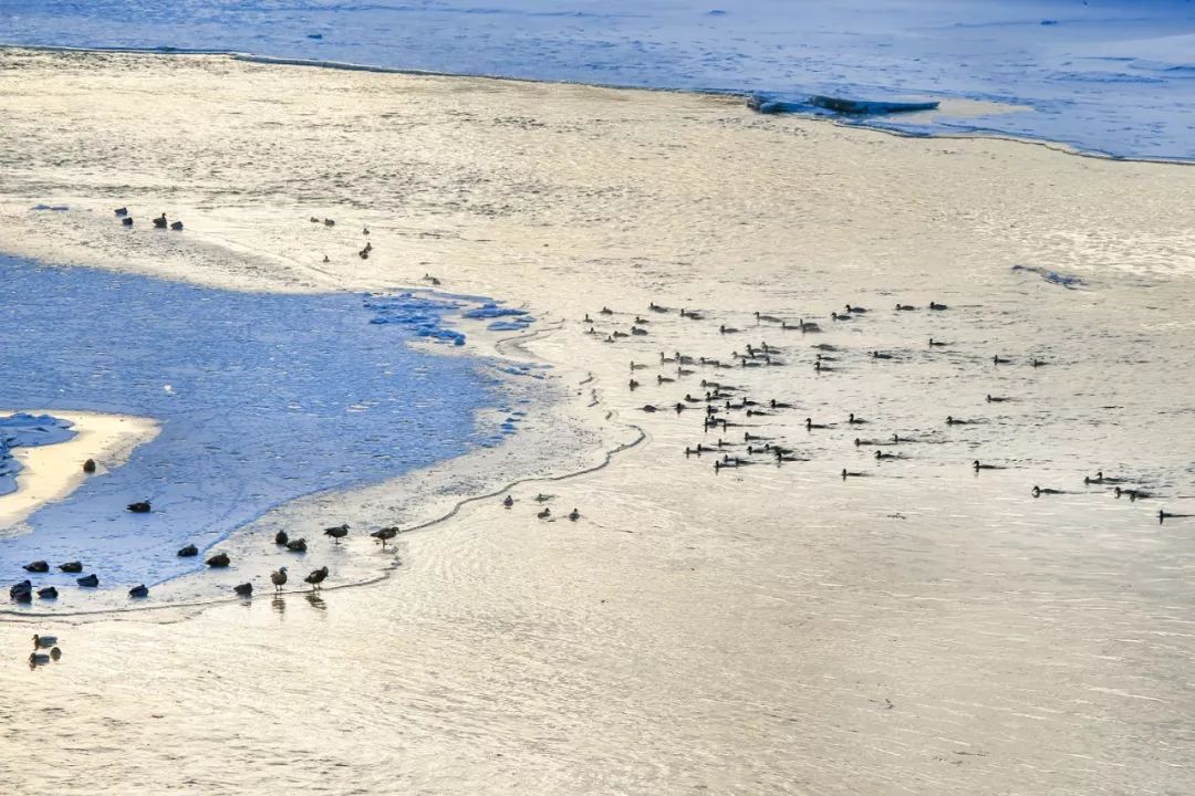 雾凇哪儿好看,吉林在哪里看雾凇比较好