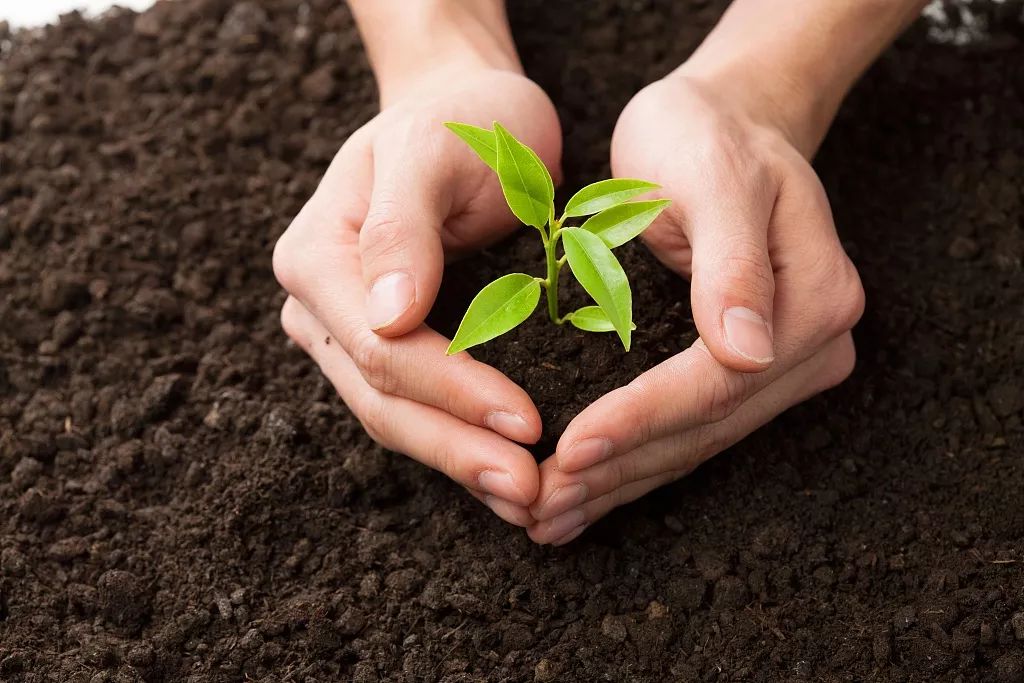 梁启超一生的八句话,梁启超最苦与最乐赏析