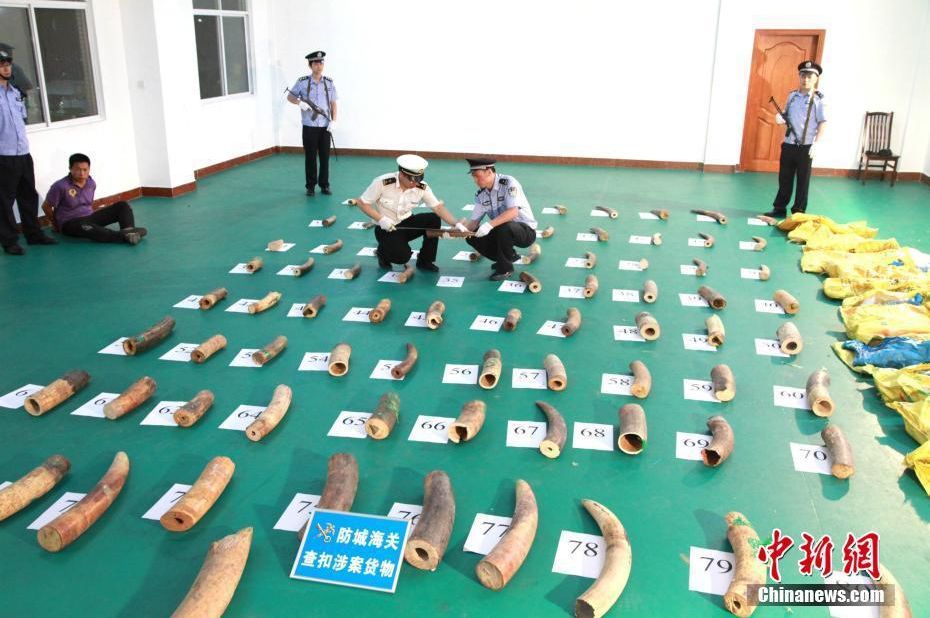 春运火车票1月12日可以买票吗,2020年元旦火车票开售啦