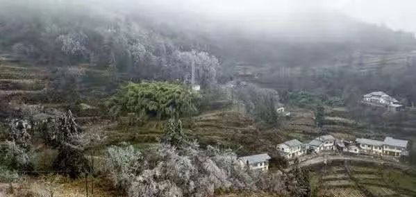 遵义冬天周边游二日游推荐,遵义冬游