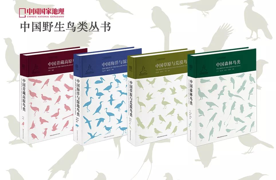 劲草嘉年华最新视频,2023年劲草嘉年华