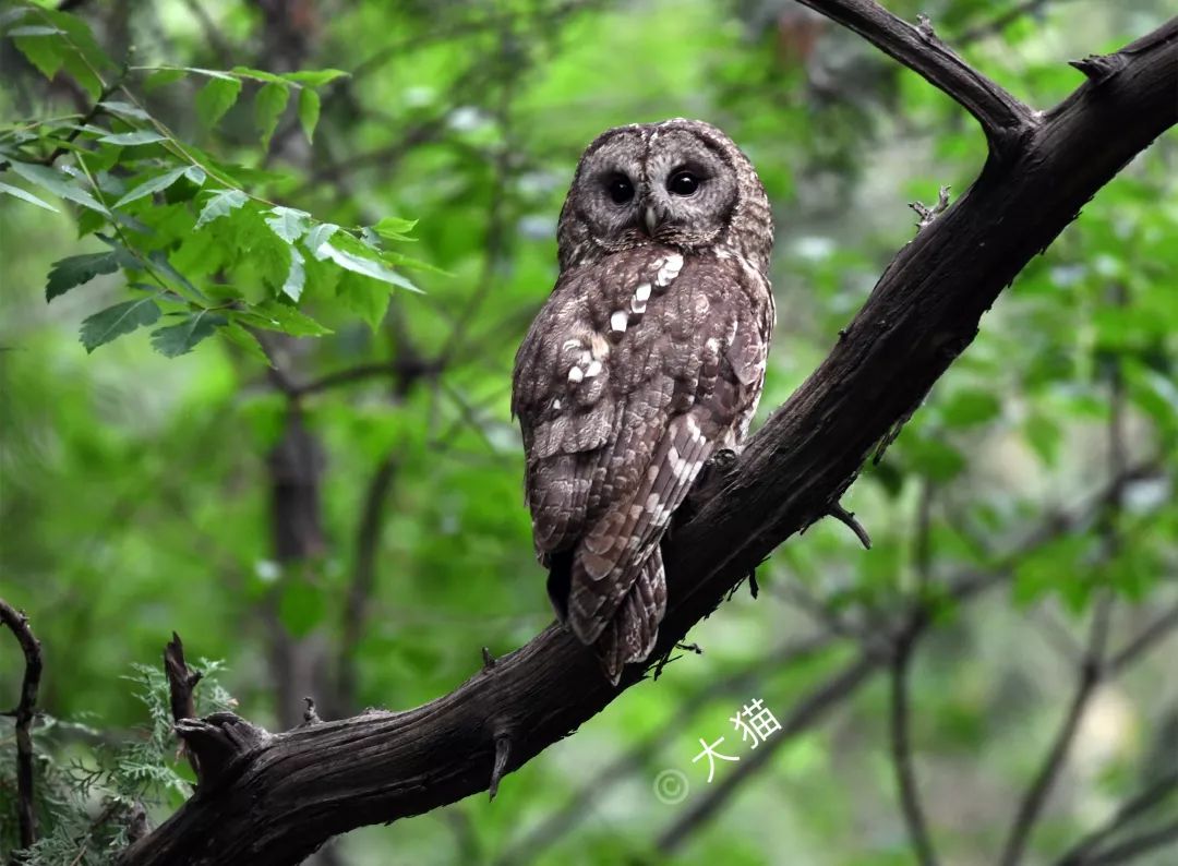 劲草嘉年华最新视频,2023年劲草嘉年华