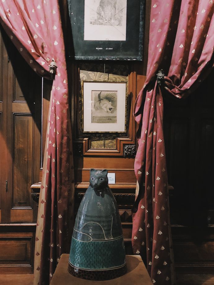 各种猫咪的博物馆,猫咪博物馆都有哪些猫