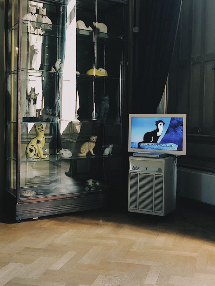 各种猫咪的博物馆,猫咪博物馆都有哪些猫