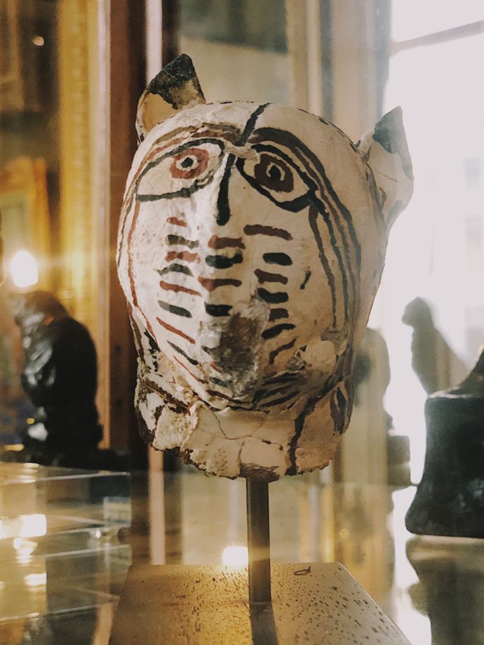 各种猫咪的博物馆,猫咪博物馆都有哪些猫