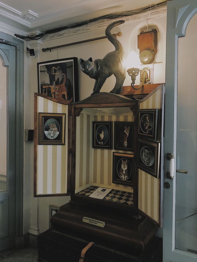 各种猫咪的博物馆,猫咪博物馆都有哪些猫