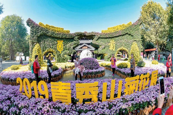 2023青秀山菊花展在哪个景点,南宁青秀山菊花展到什么时候结束