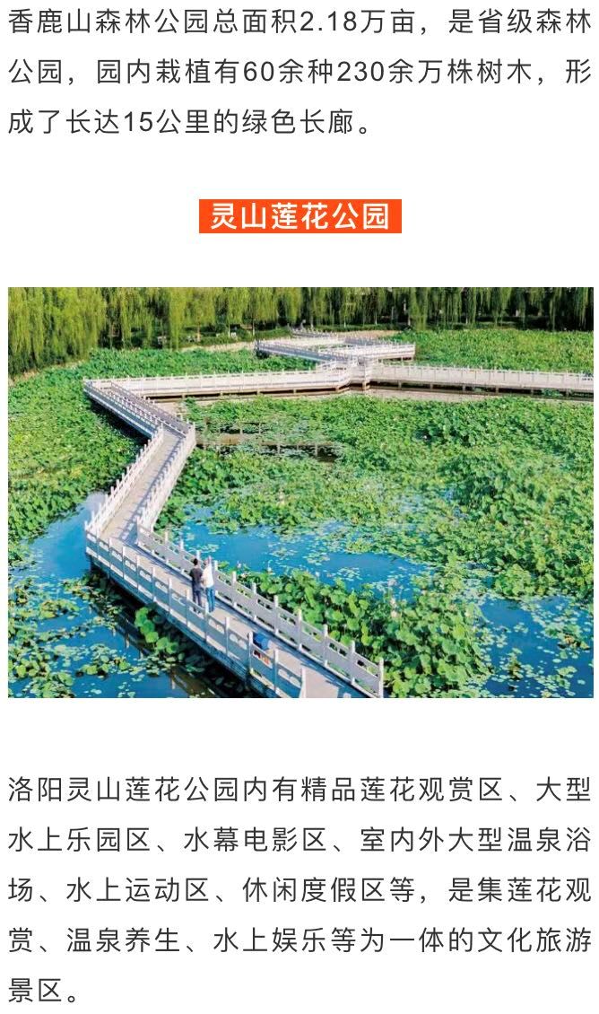 住哪里可以感受洛阳的繁华,洛阳哪个地方最适合居住