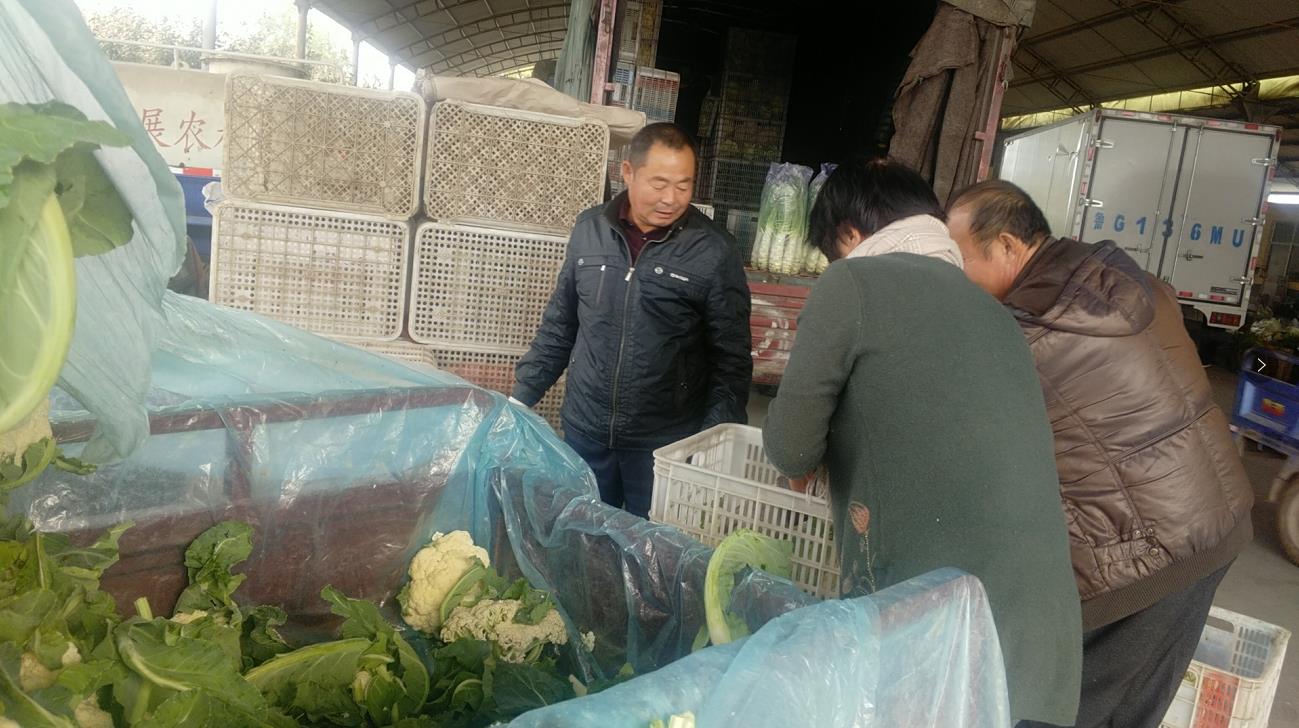 安丘田头市场调查：专业服务意识强议价有底气