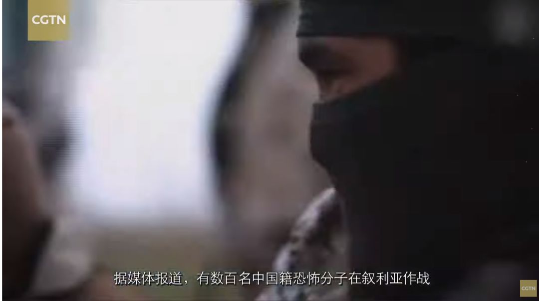 涉疆反恐纪录片,央视新疆反恐纪录片