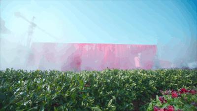 碧桂园天玺湾喜报来袭,碧桂园天玺湾6号楼认筹