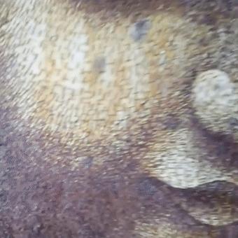 切出40000块面包丁玩拼图，无聊吃货的最高境界？