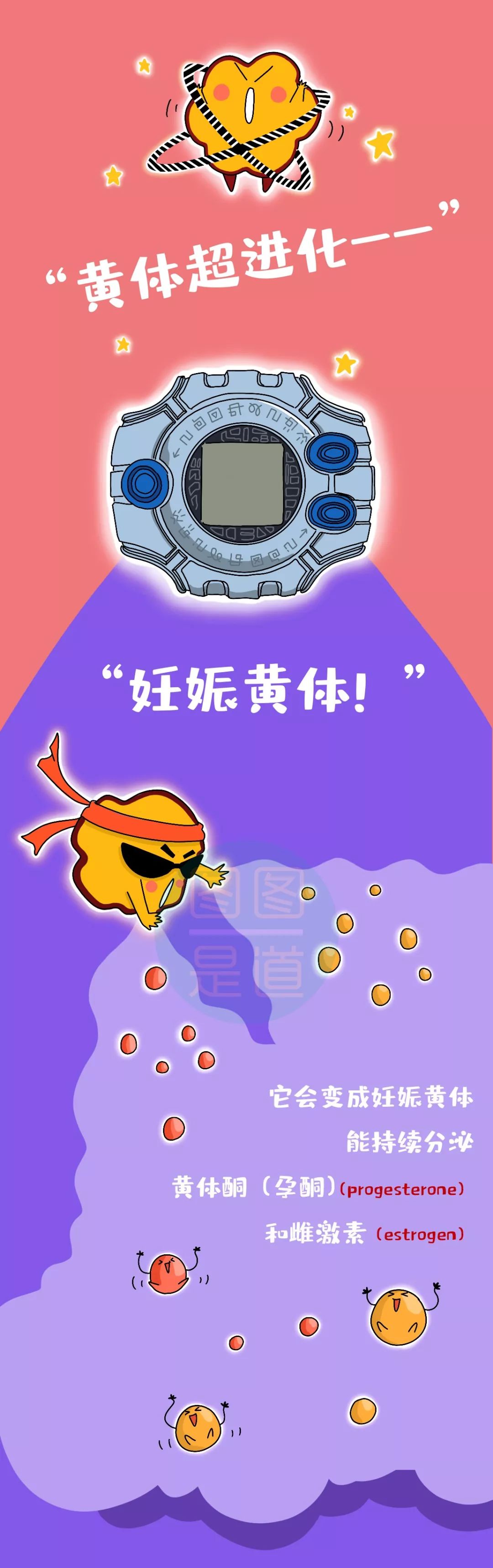 不明原因的腹痛警惕这种病,上腹部像吃鸡蛋黄一样噎着疼