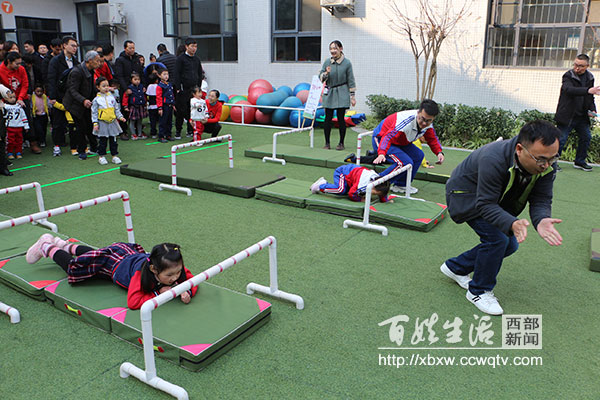 巨人树幼儿园直播,巨人树幼儿园活动主题