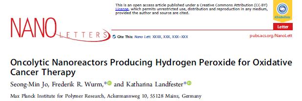 NanoLett：溶瘤纳米反应器产生H2O2用于氧化治疗癌症