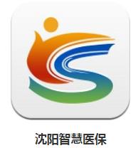 沈阳医保改革每个月买药多少钱,沈阳医保卡可以统筹买药吗