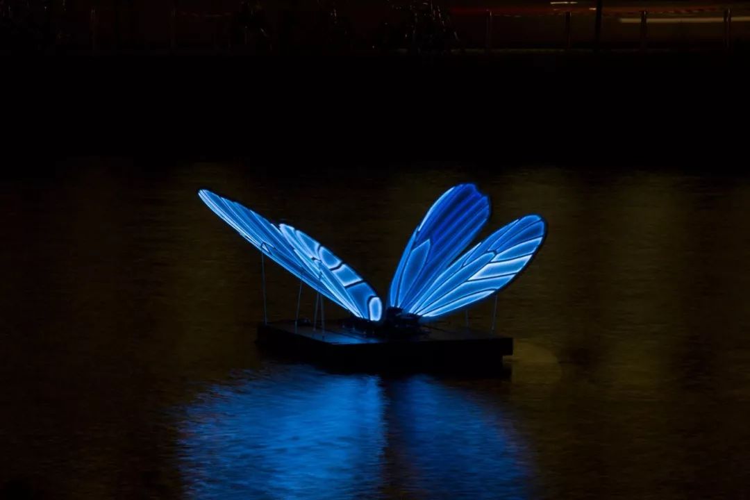 易烊千玺和王俊凯拍视频开盲盒,易烊千玺和王俊凯拆盲盒