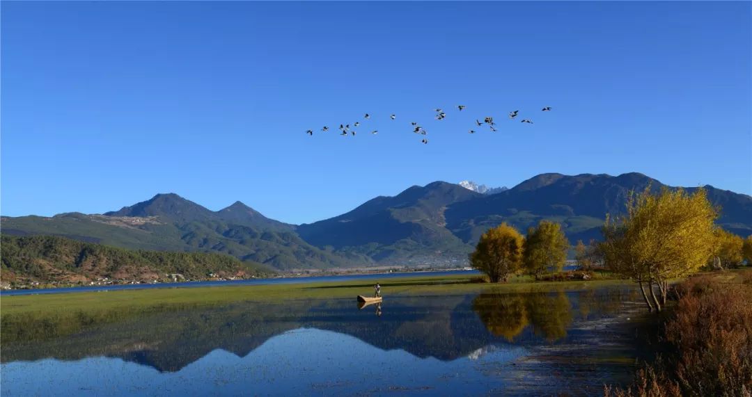 关于一张去丽江的旅游图,100张丽江照片