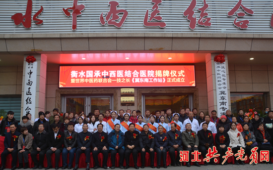 衡水中西医结合医院项目,衡水国承中西医结合医院属于几甲