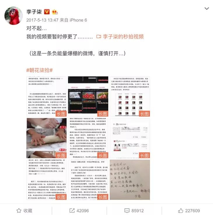 李子柒央视采访年度人物,央视评价李子柒启示