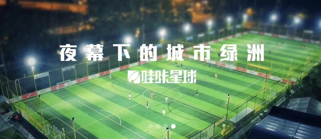 哈比培训,哈比青训教练培训正规