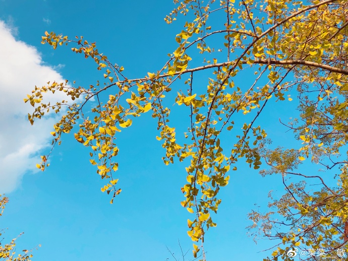 最新福州温泉公园,福州温泉公园