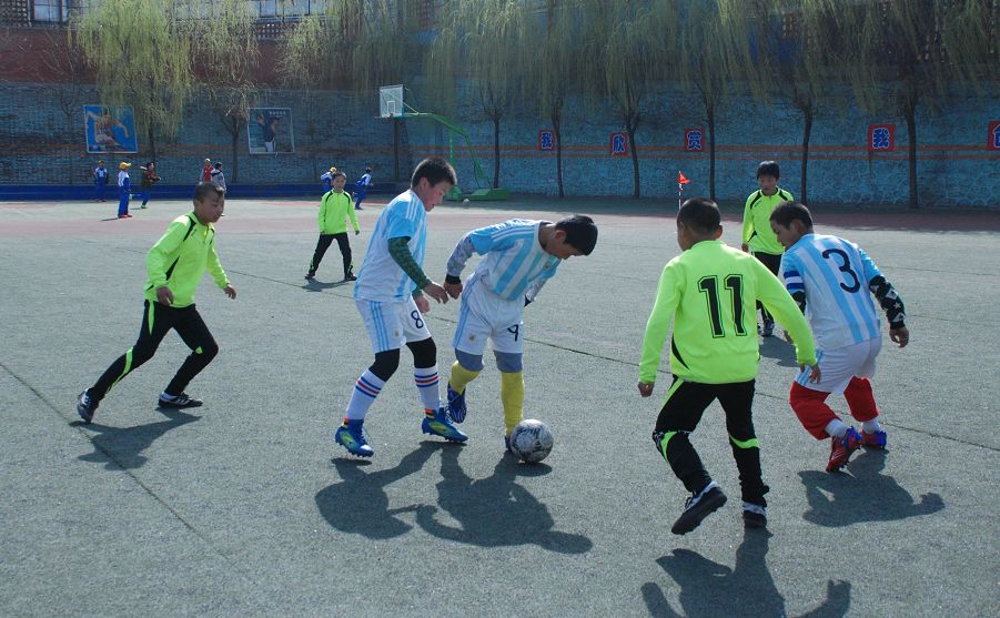 给力！临潼喜提全省唯一“国字号”荣誉！