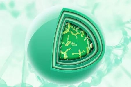 给肠道洗个澡，便秘、口臭、大肚腩都没了