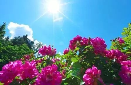 潮玩灵感微醺一夏沁凉开启,潮玩游玩攻略