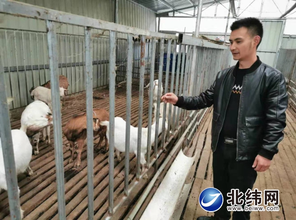 杨忠文：脱贫不等不靠勤劳创业致富