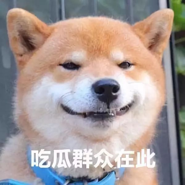 零下30度的东北吃冰,东北人为啥零下30度还要囤雪糕