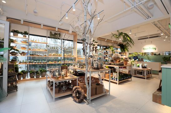 茑屋书店将登陆上海；上海新世界城携400家新品店重新开业；周杰伦“J-tea魔杰的茶”全球首店上海开业|猫头鹰商业周报