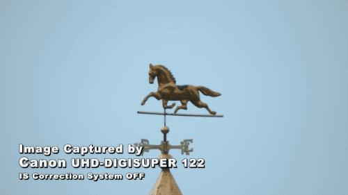 网络视频都是摆拍的吗,视频都是故意摆拍的吗