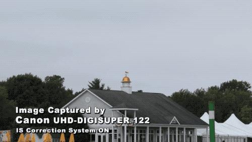 网络视频都是摆拍的吗,视频都是故意摆拍的吗