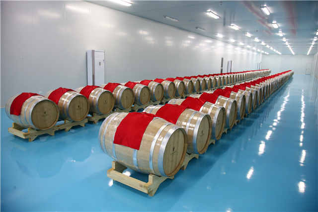 复旦博士10年前种下上海第一棵火龙果，如今成了千亩主题公园