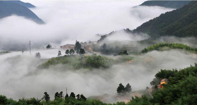 松阳古村落古树人家风景美如画,松阳千年古村落