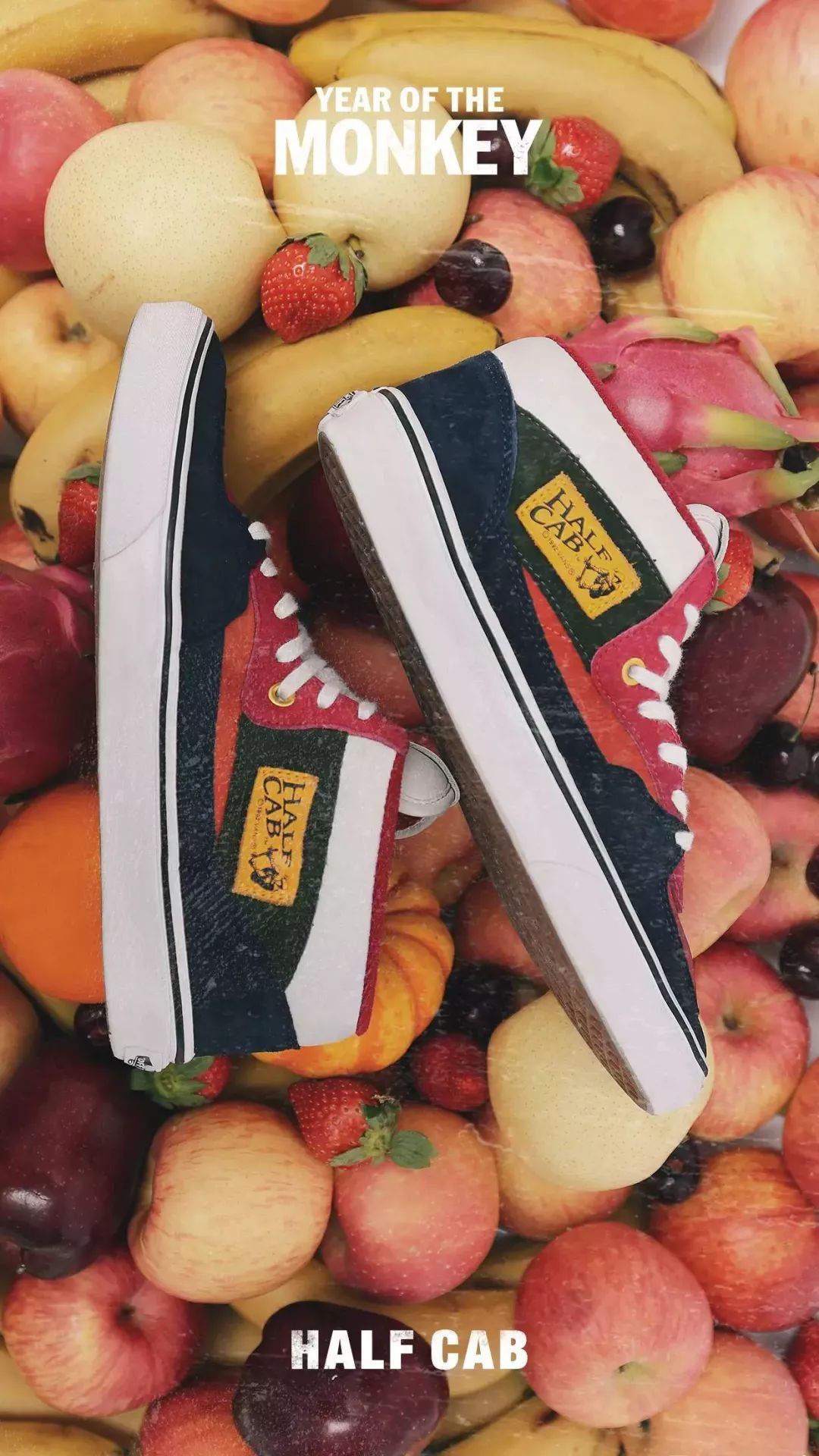 王安石与vans什么关系,vansoffthewall王安石