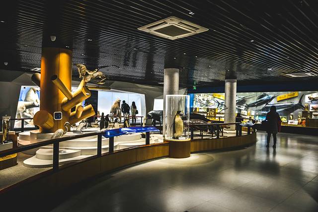 猝不及防闯入你的容颜|你好,青岛