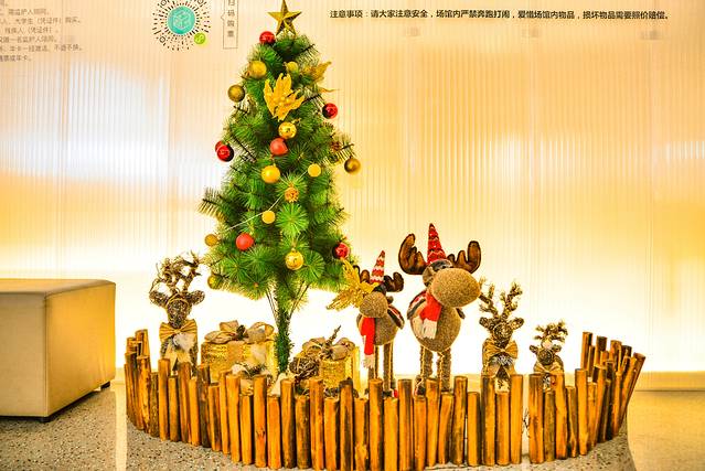 猝不及防闯入你的容颜|你好,青岛