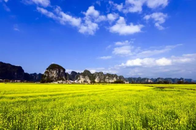 2020骞翠綑棰濆凡涓嶈冻,2019骞村凡浣欓涓嶈冻