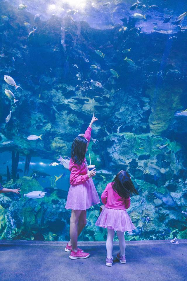 海底探秘视频,海底探秘海洋馆