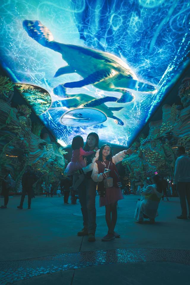 珠海长隆海洋王国海底夜宿,珠海长隆海洋王国鲸鲨馆海底区