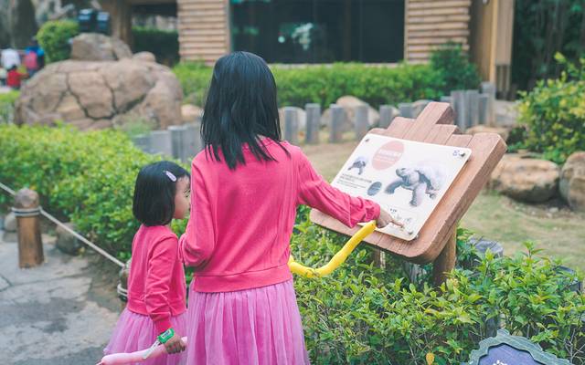 珠海长隆海洋王国海底夜宿,珠海长隆海洋王国鲸鲨馆海底区