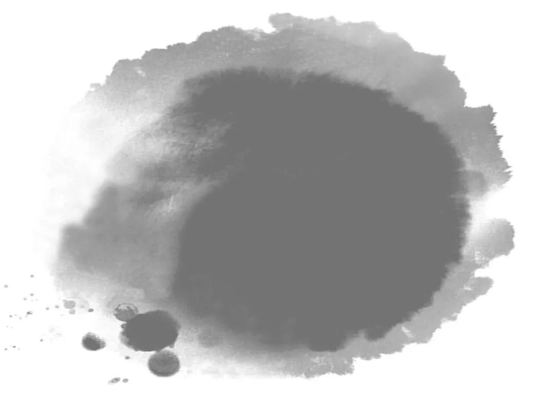 大家的青春|彭见明：野渡