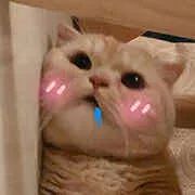 早晨起床对抗懒癌,懒癌晚期护肤的正确方法